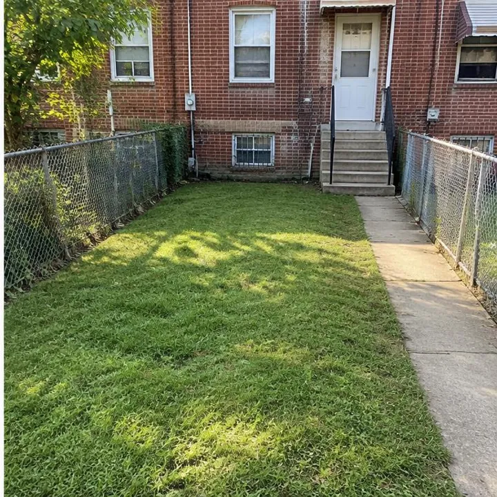 A neat Baltimore residential yard