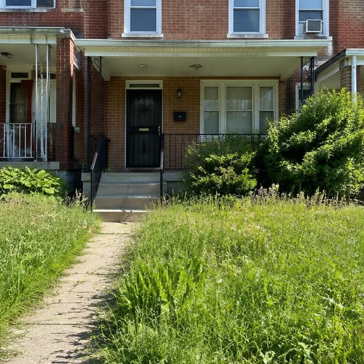West Baltimore Rowhouse, overgrown lawn before illustrative maintenance